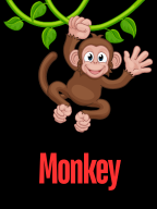 Monkey Monkey