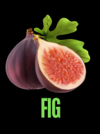 FIG FIG