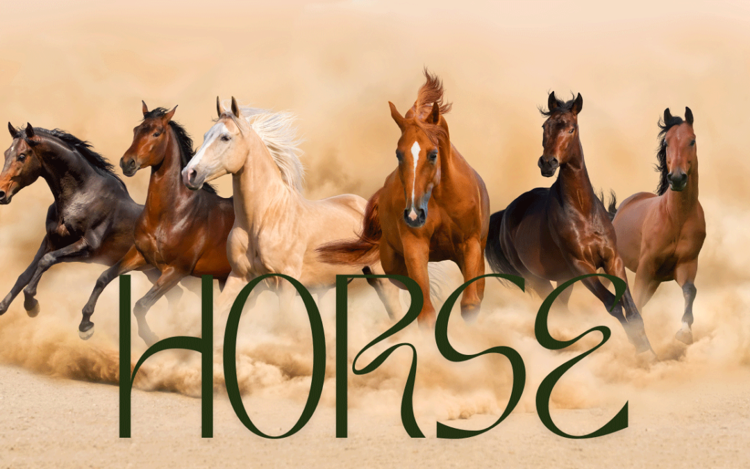 Horses: More Than Just a Pet