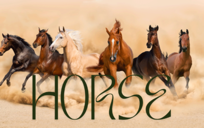 Horses: More Than Just a Pet