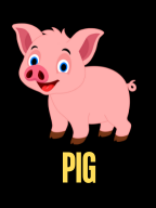 PIG PIG