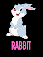 RABBIT