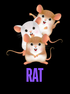 RAT